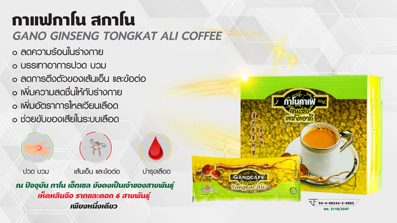 กาแฟกาโนสกาโน ผสมเห็ดหลินจือ โสม รากปลาไหลเผือก