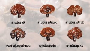 เห็ดหลินจือ รากและดอก 6 สายพันธุ์