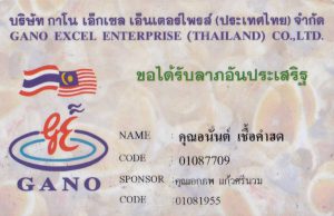 บัตรสมาชิก กาโน เอ็กเซล
