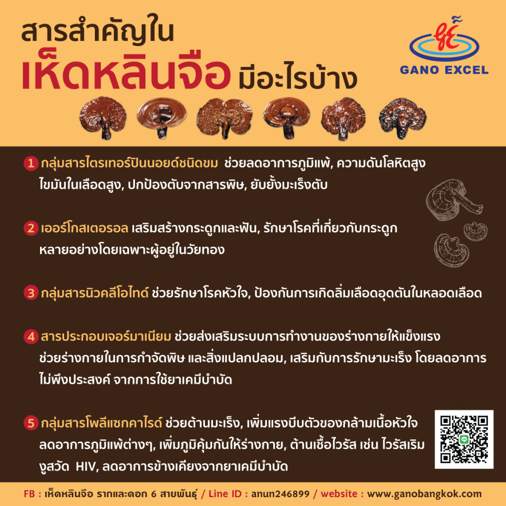สารสำคัญในเห็ดหลินจือมีอะไรบ้าง